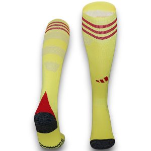 5534f69c-Photoroom.jpg Calcetines Celtic 2025-2026 Local Portero
