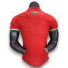 Camiseta Gambia 2025-2026 Local – Version Pro Player