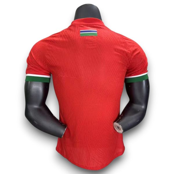 Camiseta Gambia 2025-2026 Local – Version Pro Player