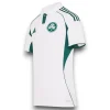 Camiseta Panathinaikos 2025-2026 Visitante
