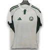 Camiseta Panathinaikos 2025-2026 Visitante