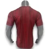 Camiseta Arsenal 2025-2026 Local Entrenamiento – Version Pro Player
