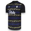 Camiseta Everton 2025-2026 Alternativa