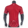Camiseta Lille 2025-2026 Local – Version Pro Player