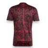 Camiseta LVP 2024-2025 Entrenamiento
