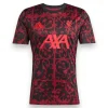 Camiseta LVP 2024-2025 Entrenamiento