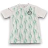 Camiseta Palmeiras 2025 Entrenamiento
