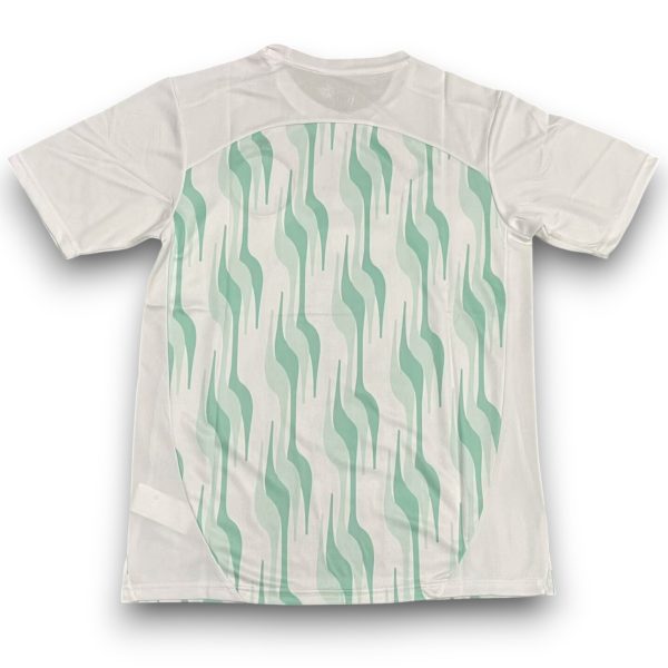 Camiseta Palmeiras 2025 Entrenamiento