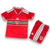 Camiseta Gales 2026 Local