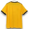 Camiseta Wolves 2018-2019 Local