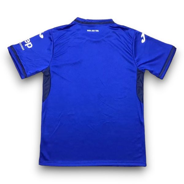 099c9fe5.jpg Camiseta Hoffenheim 2024-2025 Local