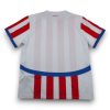 Camiseta Paraguay 2024-2025 Local