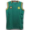 Camiseta Camerún 2002 Local