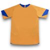 Camiseta Juventus 2005-2006 Alternativa