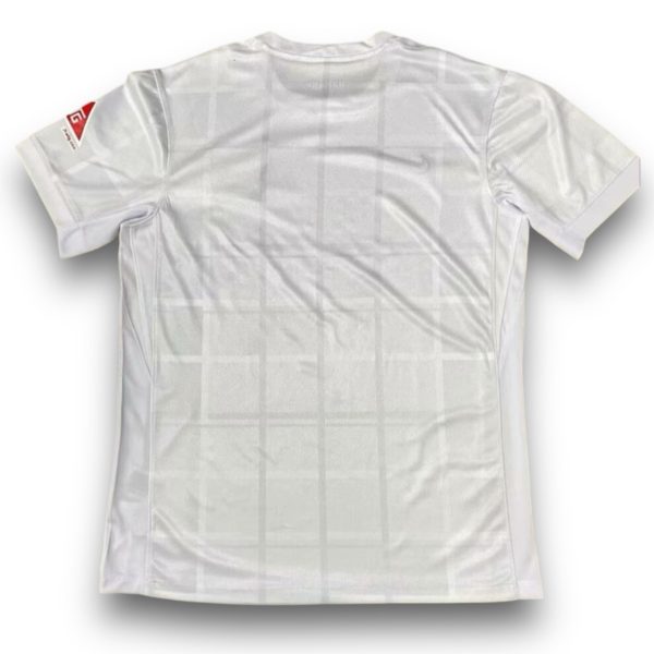 Camiseta Hertha BSC 2024-2025 Cuarta
