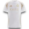 Camiseta Al-Nassr 2024-2025 Alternativa