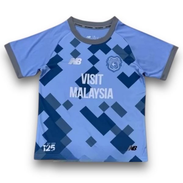 Camiseta Cardiff City 2024-2025 Alternativa