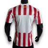 Camiseta Atletico de Madrid 2025-2026 Local – Version Pro Player
