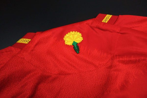 Camiseta España 2024-2025 Local – Version Pro Player