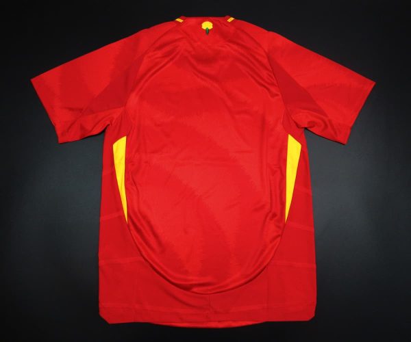 Camiseta España 2024-2025 Local – Version Pro Player