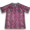 Camiseta Dinamarca 2024-2025 Especial