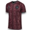 Camiseta Dinamarca 2024-2025 Especial
