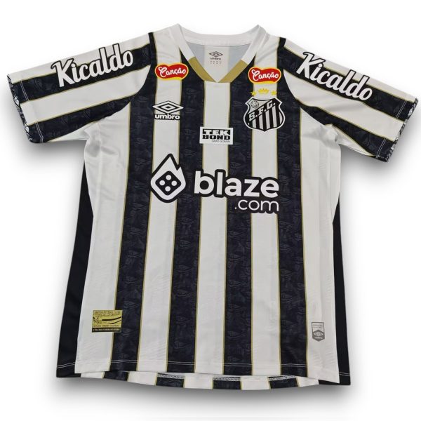 Camiseta Santos 2024-2025 Visitante