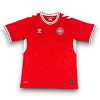 Camiseta Dinamarca 2024-2025 Local