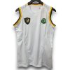 Camiseta Camerún 2002 Visitante