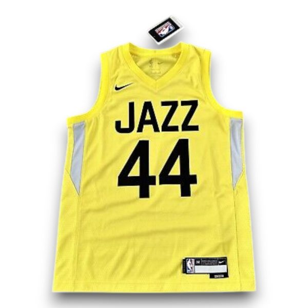 Camiseta Utah Jazz Icon 2023-2024