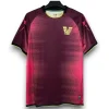 Camiseta Venezia 2025-2026 Prepartido